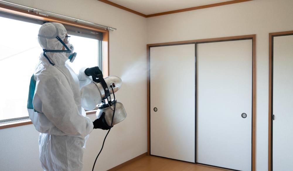 専門スタッフの育成